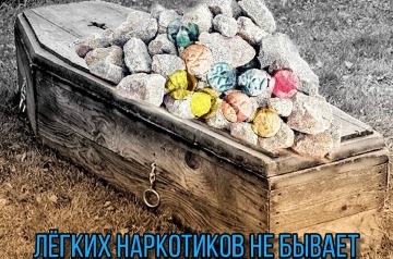 275726911-951251682234681-220784714194287118-n-1.jpg