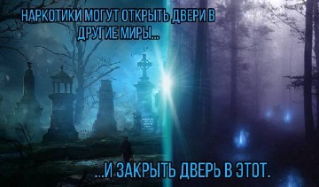275733860-1834486953411595-2338158880349746352-n-1.jpg